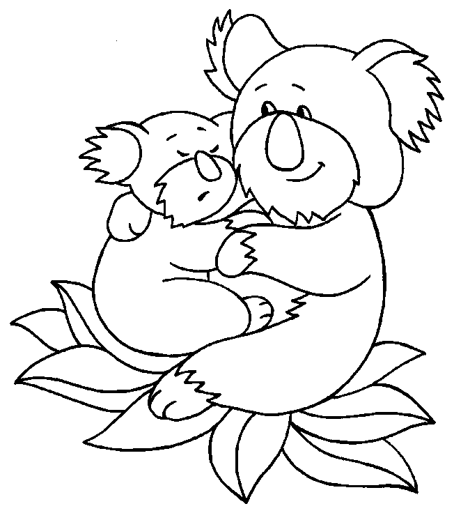 dibujos dos koalas
